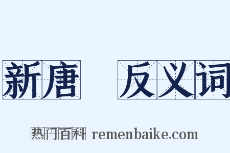 新唐書反义词是什么意思的图片